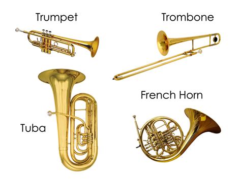 Image result for Different Types of Horns Instruments