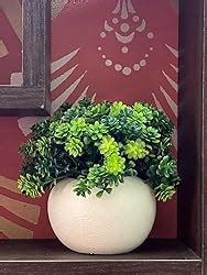Buy Dekorly Greenery Artificial Mini Bonsai Plants Artificial Plants ...