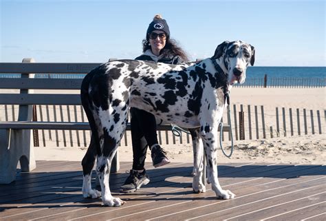 NJ 2026 law changes includes minimum wage increase, bridge toll hikes