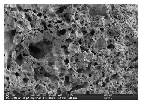 Analysis of the Influence of Shell Sand Content on the Performance of ...