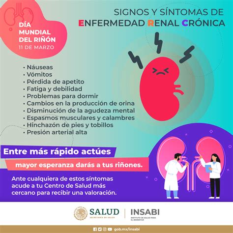 Sintomas De Rinones Enfermos