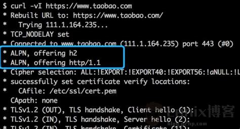 Image result for Command Line Request HTTP