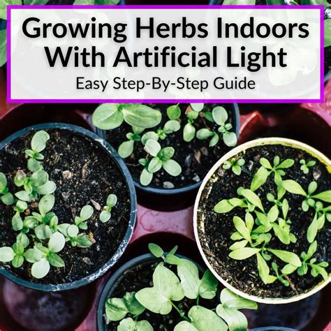 Grow Vegetables Indoors With Artificial Light at Joanne Magana blog