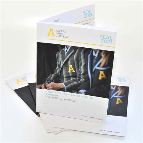 Print Program 的图像结果