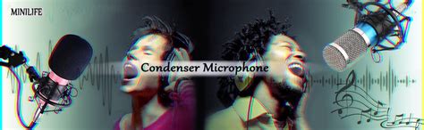 TECHBLAZE BM-800 Professional Condenser Microphone | Easy Plug & Play ...