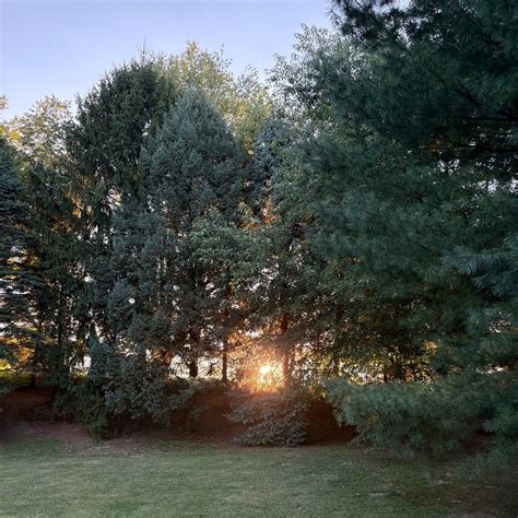 SHIPSHEWANA CAMPGROUND & AMISH LOG CABIN LODGING - Campground Reviews ...