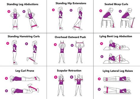 Using Stretch Bands Exercises 的图像结果
