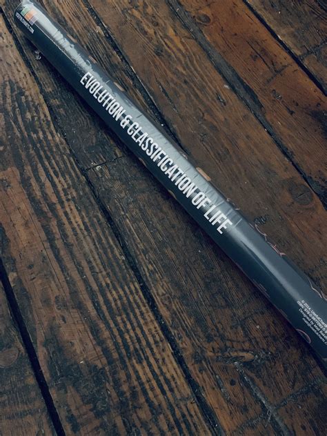 Classification by Color Code in Evolution 的图像结果