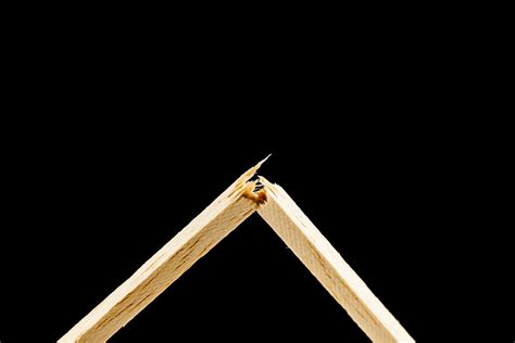 Image result for Object Lessons in Art