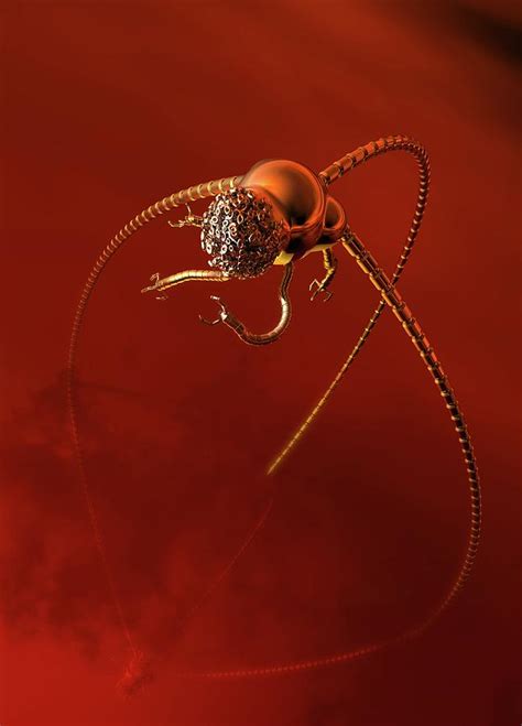 Image result for Alien Tripod Horn