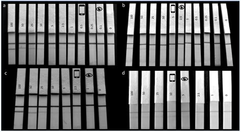 Rapid Antibody Selection Using Surface Plasmon Resonance for High-Speed ...