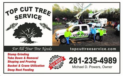 Image result for Tree Top Tree Service