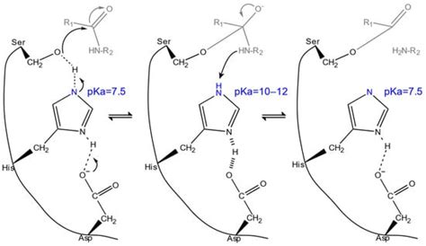 Protein Engineering for Industrial Biocatalysis: Principles, Approaches ...