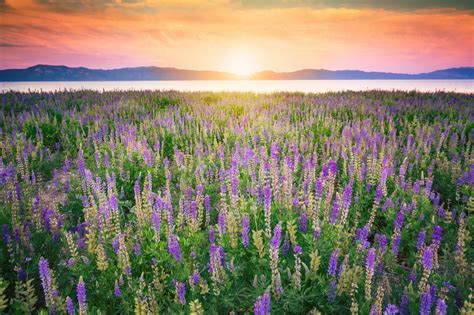 Image result for Scratch File