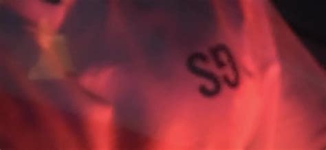 Spring 2025 Collection