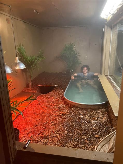 After a ton of ppl asked to see one of my caiman enclosures, here one ...