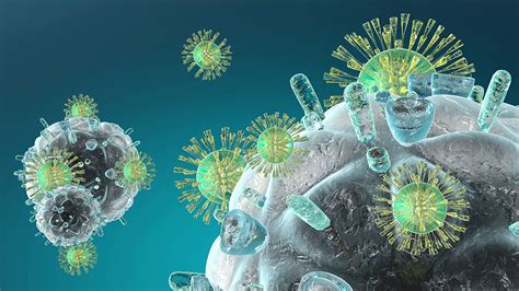 Image result for Host-Pathogen