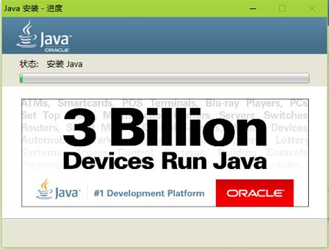 Install Java 1.6 的图像结果
