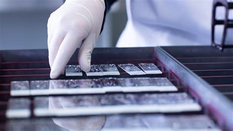 Image result for Isolated Tissue Sample