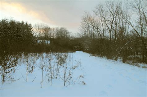 Image result for Back to Field