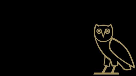 Drake Owl Wallpapers - Top Free Drake Owl Backgrounds - WallpaperAccess