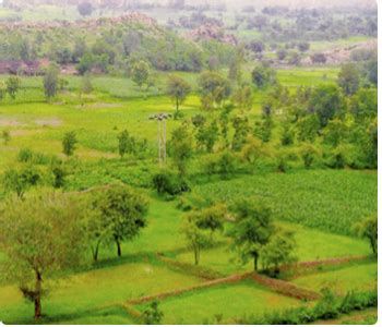 Major Areas :: Dryland Agriculture