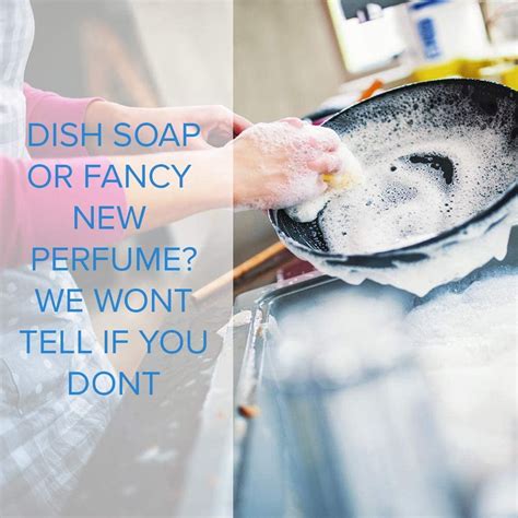 Buy Clorox Fraganzia Liquid Dish Soap Smells Great and Cuts Through ...