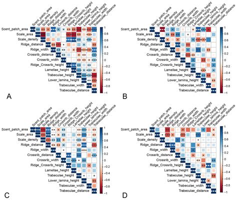 Morphological Characterization of the Antenna and Scent Patch of Three ...