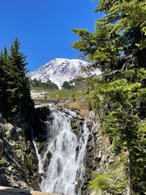 Washington 的图像结果
