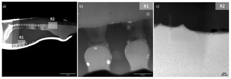 Numerical and Experimental Study of the Mechanical Response of Diatom ...