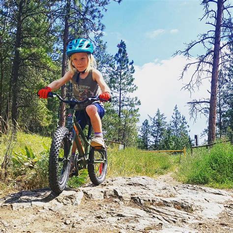 Art Zone Summer Camp - Creative Quests & Wheels, Art Zone Art Hub 5022b ...