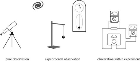 Observation Test 的图像结果