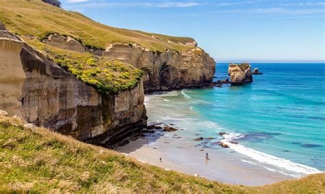 Dunedin, New Zealand Vacation Rentals (4.9 out of 5) - Airbnb