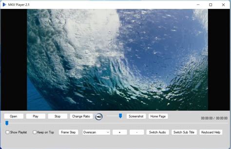 Descargar MKV Player 2.1 para PC Gratis