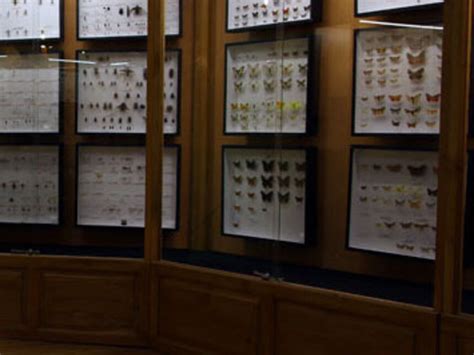 Invertebrates. Courtesy of Regional Natural History Museum of Plovdiv ...