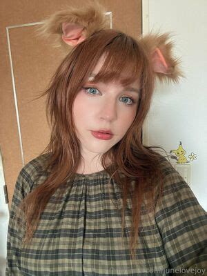 Image result for Fox in Python Code