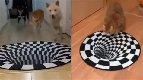 Pet optical illusion mat
