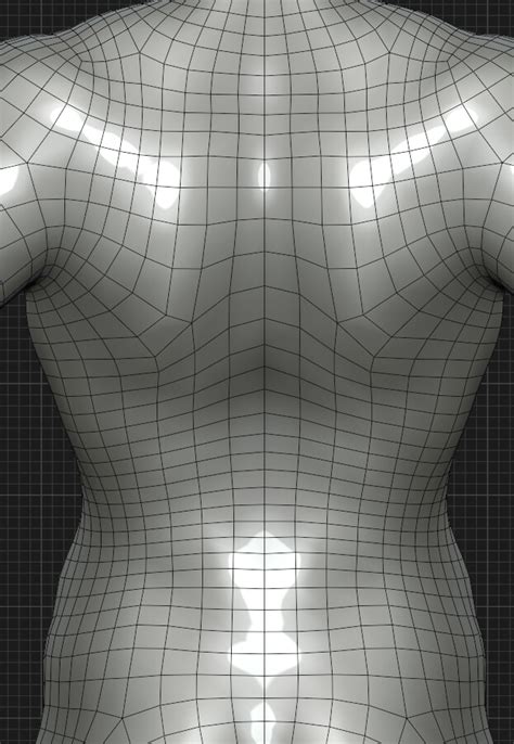 Image result for Basic Human Model Blender