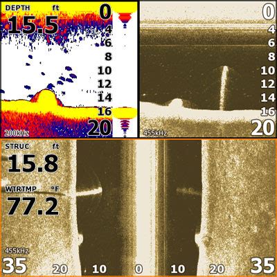 Using Side Scan Lowrance 的图像结果