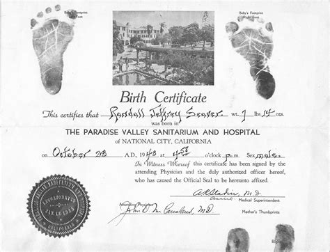 21+ Free Birth Certificate Template - Word Excel Formats