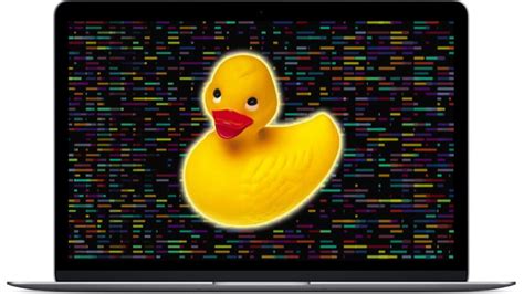 Image result for Debugging Duck Python