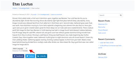 Image result for WordPress Code Snippets Examples