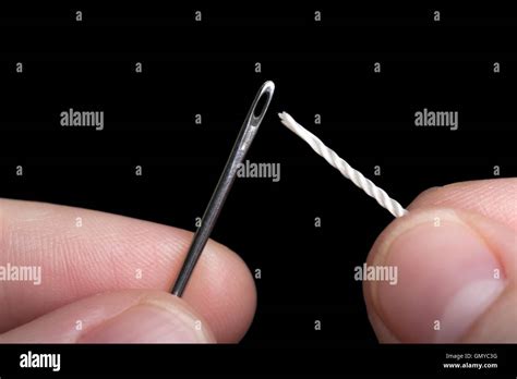 Image result for Sewing Needle and Thread