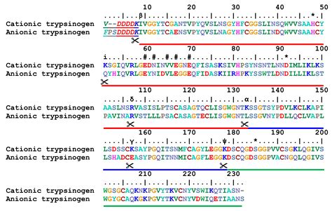 Pseudotrypsin: A Little-Known Trypsin Proteoform
