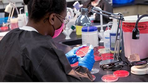 Medical Lab Science 的图像结果