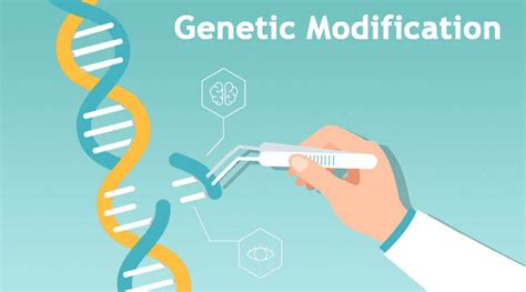 What Is Genetic Modification 的图像结果