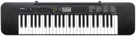Casio CTK-240 Portable Musical Keyboard : Amazon.in: Musical Instruments