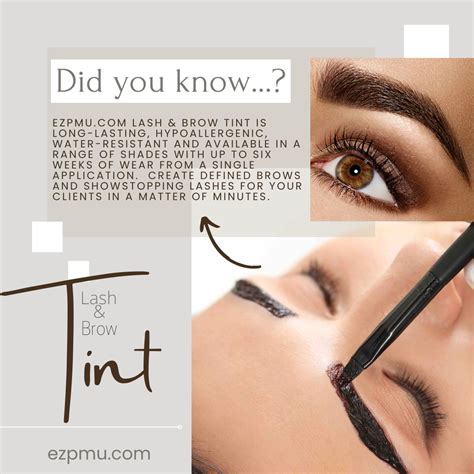 LASH & BROW TINT ANSWERS | Lash and brow tint, Brow tinting, Lashes