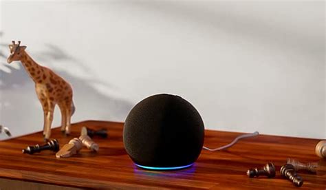 Alexa Skills & Fun Games for Everyday Use