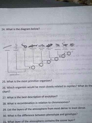 Image result for APES Crash Course